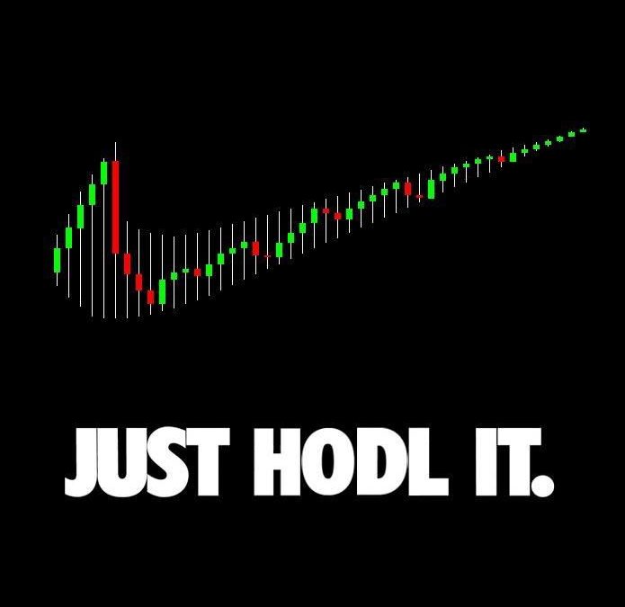 Is it Time to Buy Cryptocurrencies and Join the HODL Gang?