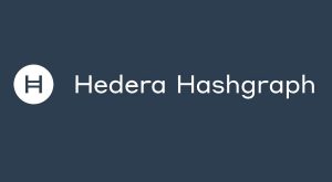 Hedera Hashgraph - Akeo
